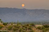 4127 Sabino Mountain Drive - Photo 20