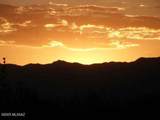 000 Cougar Trail - Photo 12