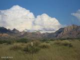 000 Cougar Trail - Photo 16