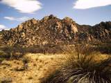 000 Cougar Trail - Photo 8