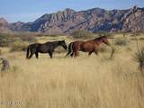 000 Cougar Trail - Photo 9