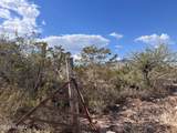 20 ac Claras Way - Photo 4