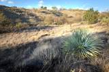  Lot 9 Tanglehead Lane - Photo 2