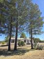 1461 Pomerene Road - Photo 3