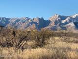 TBD109D Doe Ranch Road - Photo 1