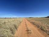 TBD Windsong  (.83 Acres) - Photo 12