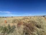 TBD Windsong  (.83 Acres) - Photo 4