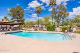 207 Paseo Quinta - Photo 25