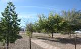3528 Andrada Road - Photo 5