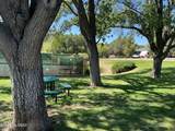 685 Shadow Mountain Drive - Photo 8