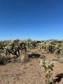 281 Scenic Vista Drive - Photo 2