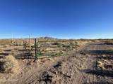3493 Agua Blanca Road - Photo 29