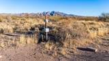 3493 Agua Blanca Road - Photo 4