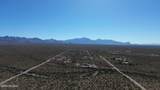 17851 Desert Saguaro Shadow Place - Photo 15