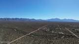 17851 Desert Saguaro Shadow Place - Photo 16