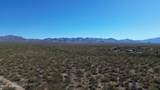 17851 Desert Saguaro Shadow Place - Photo 17