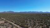 17851 Desert Saguaro Shadow Place - Photo 19