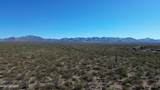 17851 Desert Saguaro Shadow Place - Photo 20
