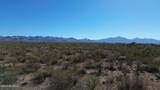 17851 Desert Saguaro Shadow Place - Photo 22