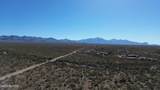 17851 Desert Saguaro Shadow Place - Photo 23