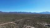 17851 Desert Saguaro Shadow Place - Photo 31