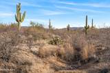 15360 Tumbling L Ranch Place - Photo 9