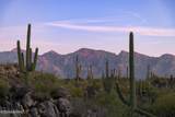 1535 Tortolita Mountain Circle - Photo 1
