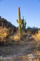 1535 Tortolita Mountain Circle - Photo 16