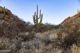 1535 Tortolita Mountain Circle - Photo 9