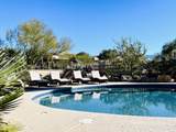 1556 Periwinkle Place - Photo 48