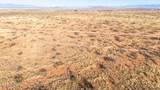0.84 Acres Sherwood Road - Photo 10