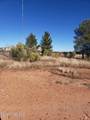 7853 Chippewa Street - Photo 2