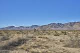 TBD Many Wells Road - Photo 8