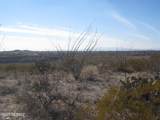 11450 Lava Peak Avenue - Photo 13