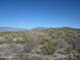 11450 Lava Peak Avenue - Photo 8