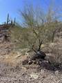 3635 Placita De La Tierra - Photo 2