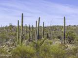 15175 Rincon Creek Ranch Road - Photo 16