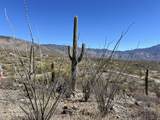 15175 Rincon Creek Ranch Road - Photo 8