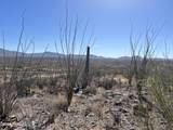 15175 Rincon Creek Ranch Road - Photo 9