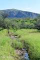 000 Poorwill Canyon Road - Photo 17