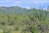 000 Poorwill Canyon Road - Photo 24
