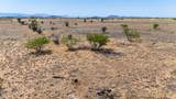 28 Acres Chiricahua Drive - Photo 15