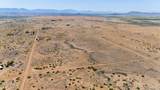28 Acres Chiricahua Drive - Photo 19