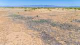 28 Acres Chiricahua Drive - Photo 6