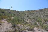 11191 Witter Piano Mountain Place - Photo 19