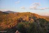 11191 Witter Piano Mountain Place - Photo 4