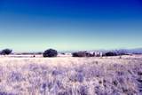  0 Lot 37 Wild Horse - Photo 2