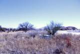  0 Lot 37 Wild Horse - Photo 3