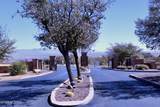  0 Lot 37 Wild Horse - Photo 7
