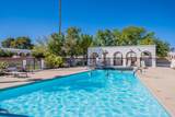 316 Paseo Sarta - Photo 41